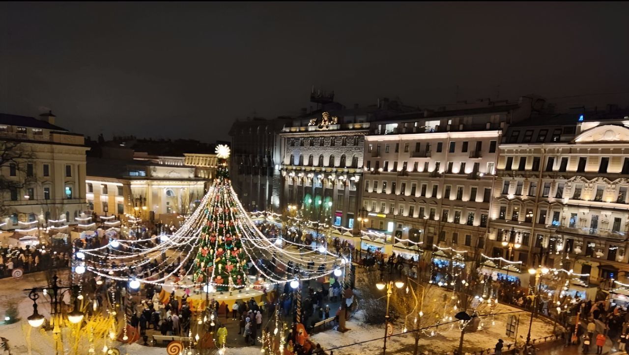 квартира г Санкт-Петербург метро Гостиный Двор ул Итальянская 33 фото 11