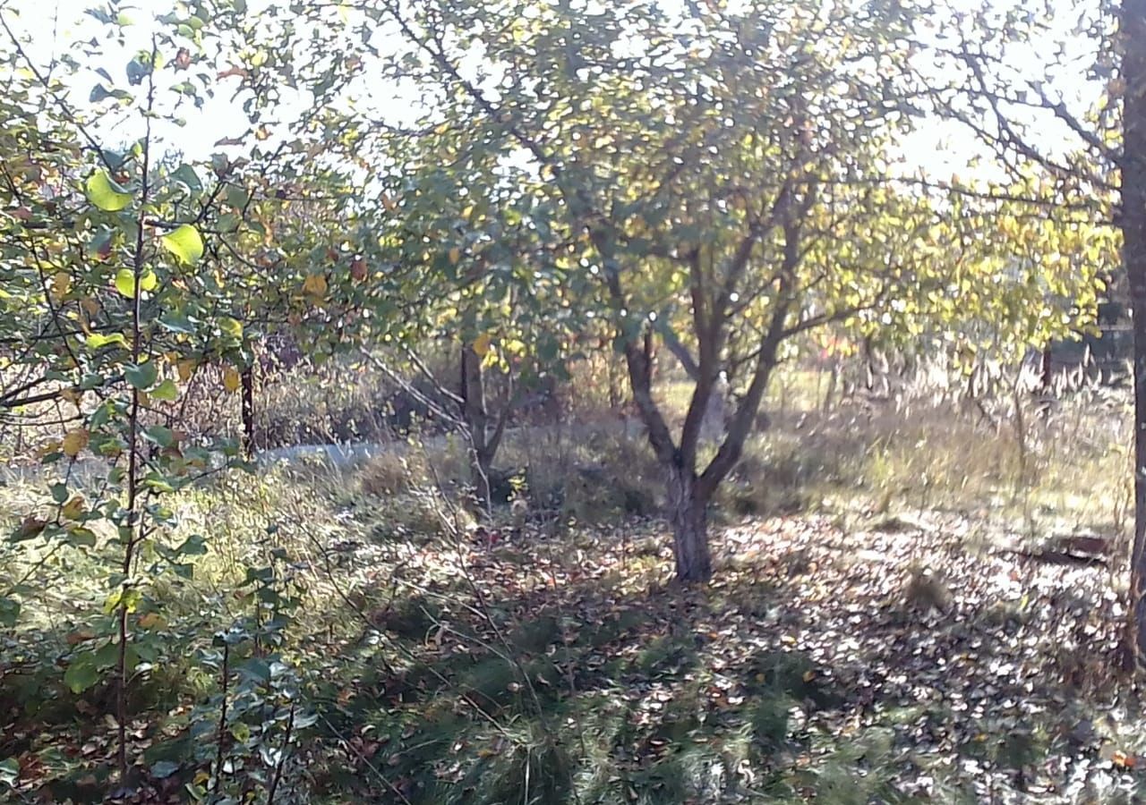 дом р-н Рамонский рп Рамонь Рамонское городское поселение, 18, СНТ Поляна фото 7