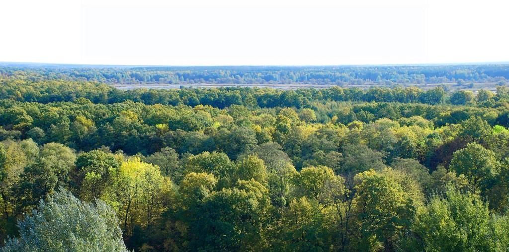 земля р-н Липецкий с Крутогорье сельсовет, Падовский фото 19