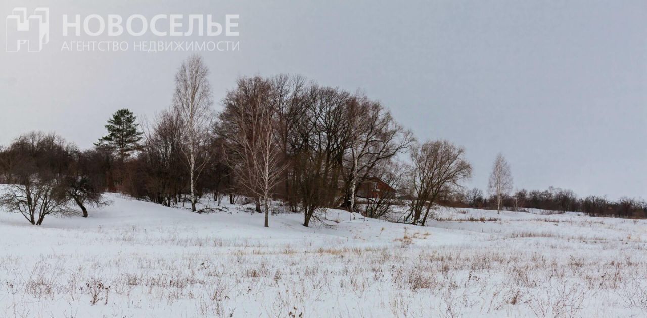 земля р-н Рязанский с Горетово ул Центральная Вышгородское с/пос фото 9