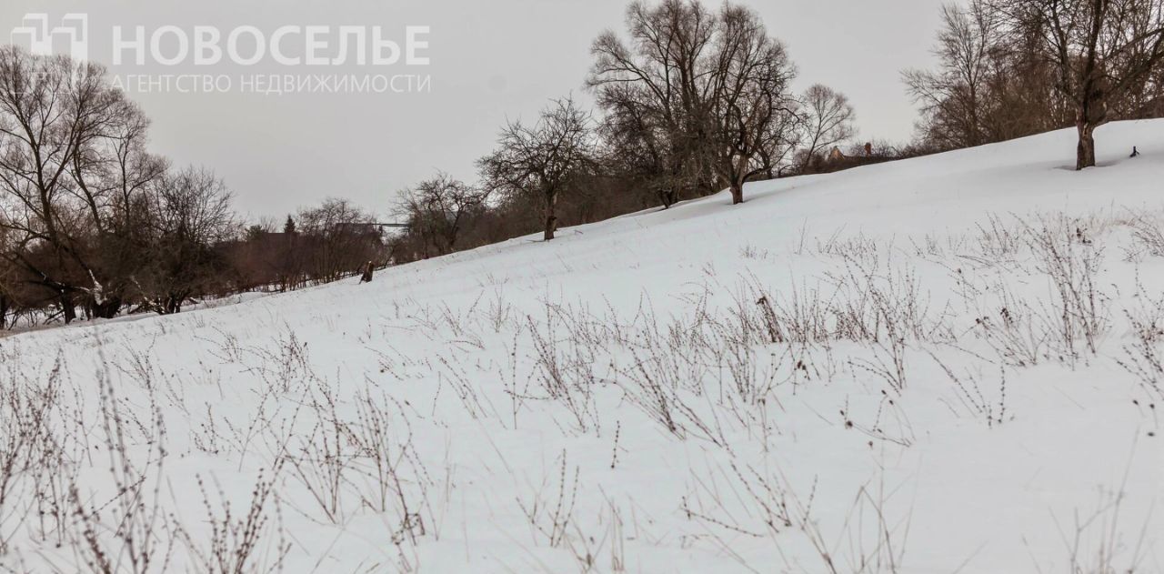 земля р-н Рязанский с Горетово ул Центральная Вышгородское с/пос фото 14