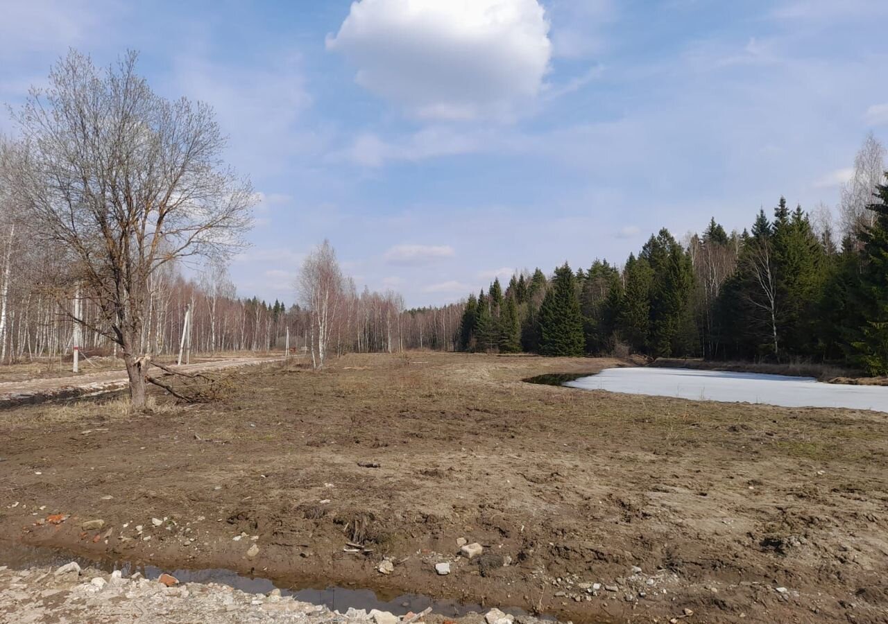 земля городской округ Раменский с Речицы коттеджный пос. Гжельский лес фото 5