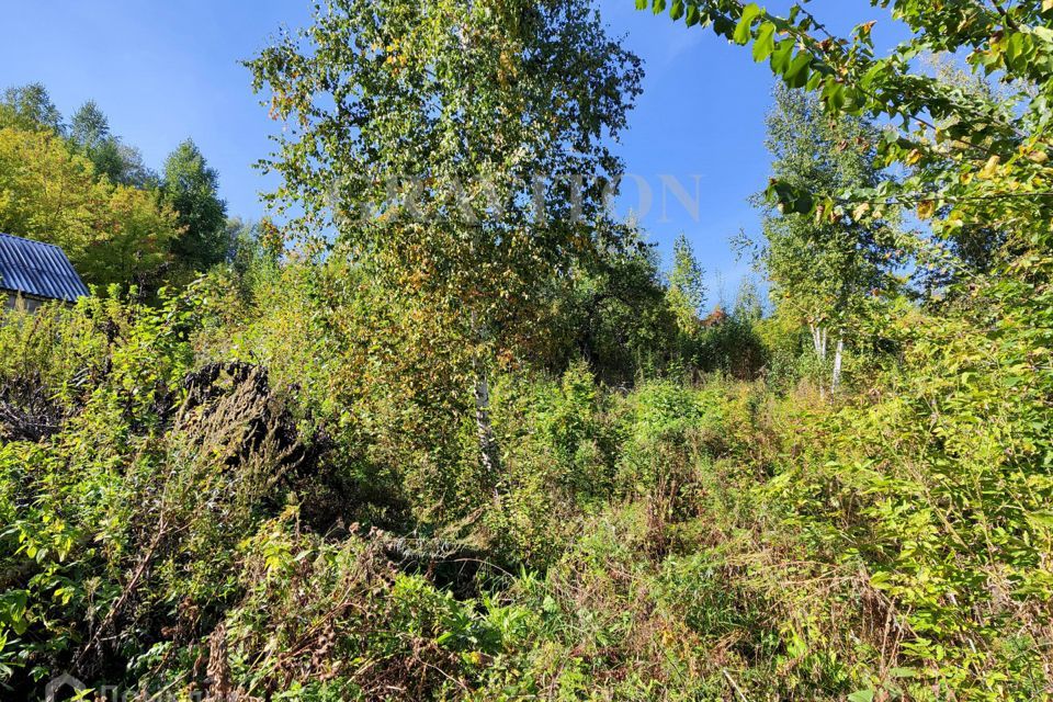 земля г Горно-Алтайск пер Облепиховый городской округ Горно-Алтайск фото 7