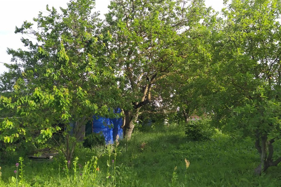 земля г Ставрополь городской округ Ставрополь, садовое товарищество Спутник фото 4