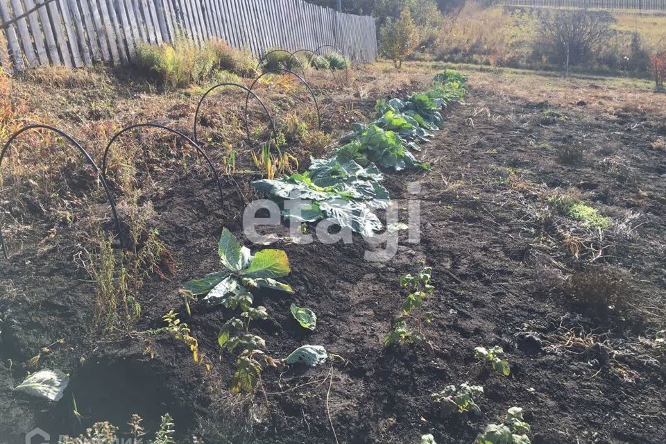 земля г Железногорск городской округ Красноярск, Лаванда, 4-я улица, садоводческое товарищество фото 4