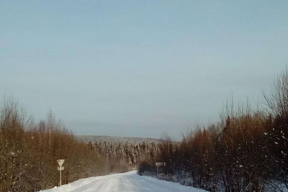 земля Чусовской городской округ, ТСН СНТ Дубравушка фото 5