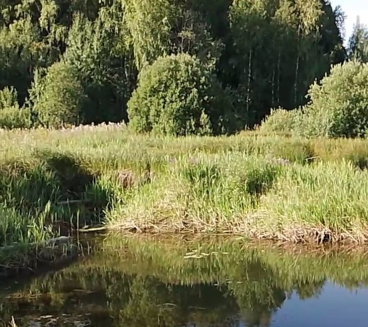 земля Чусовской городской округ, ТСН СНТ Дубравушка фото 7