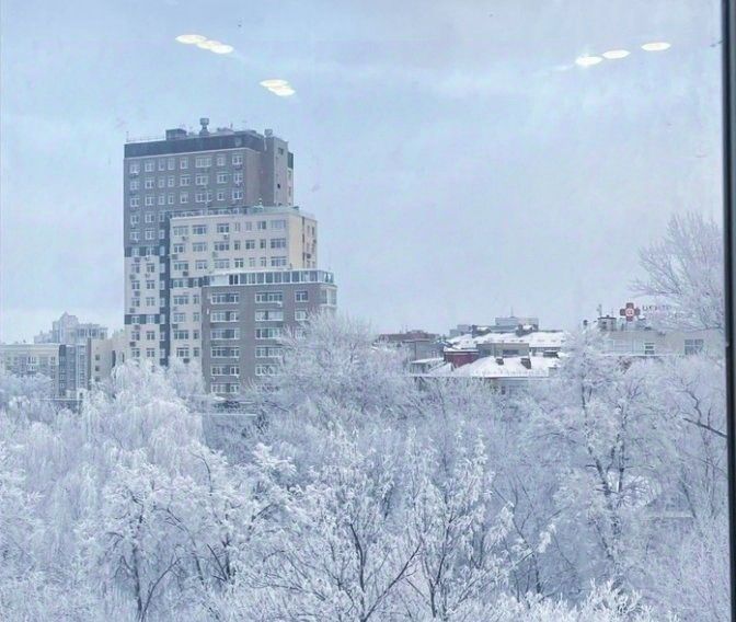 квартира г Нижний Новгород р-н Нижегородский ул Максима Горького 23а фото 18