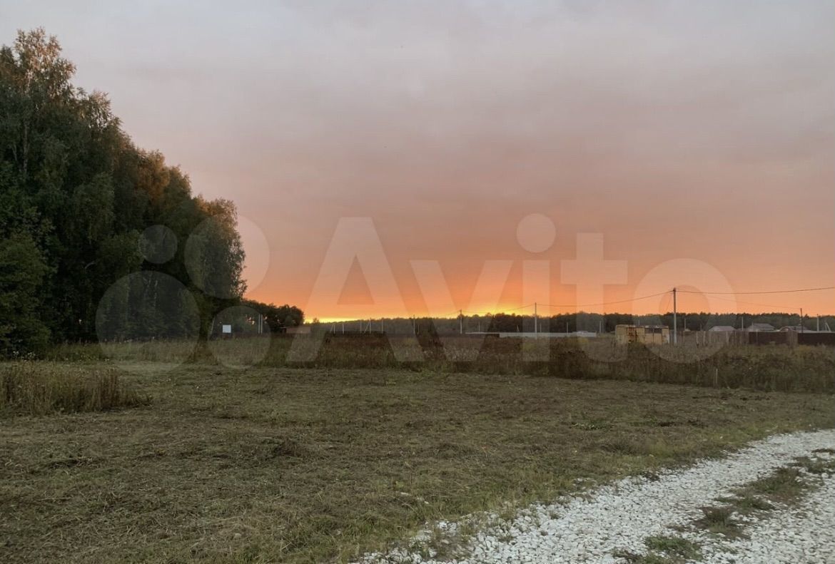 земля р-н Богородский д Выболово ул Земляничная Богородск фото 4