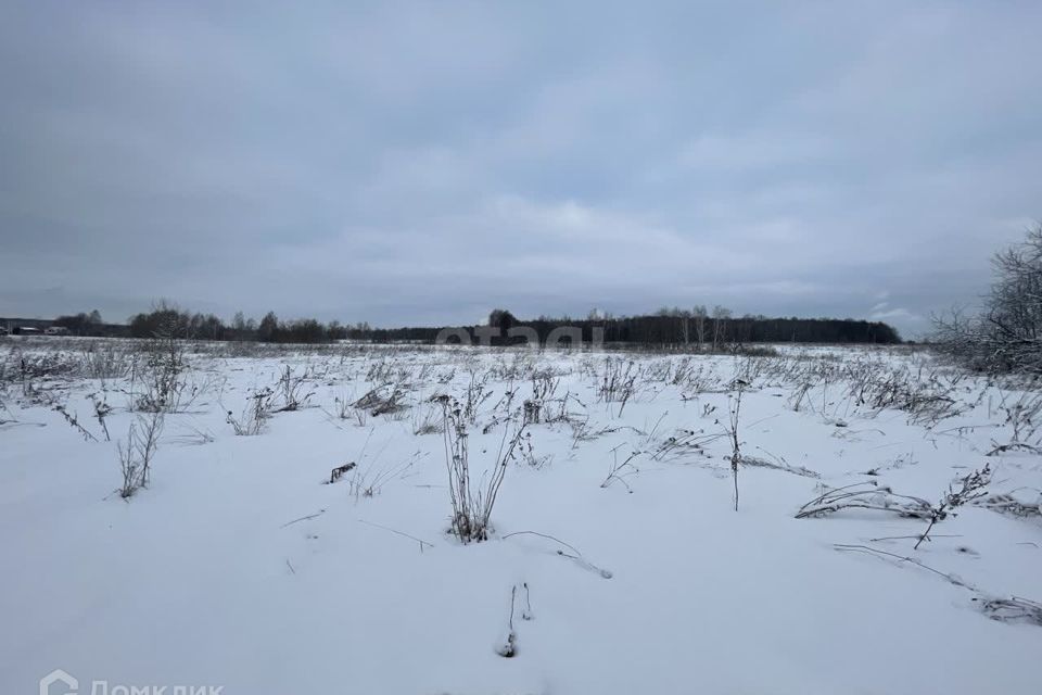 земля городской округ Раменский деревня Тяжино фото 4