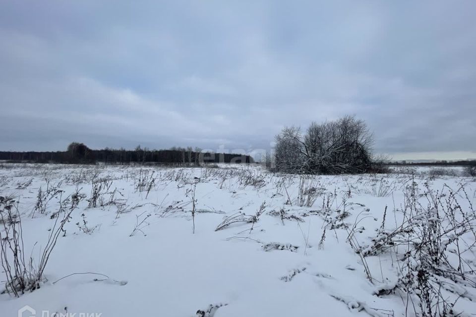 земля городской округ Раменский деревня Тяжино фото 5