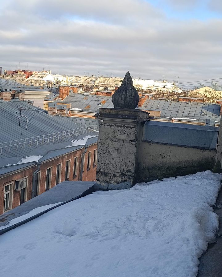 квартира г Санкт-Петербург метро Петроградская Большой пр-т Петроградской стороны, 69 фото 13