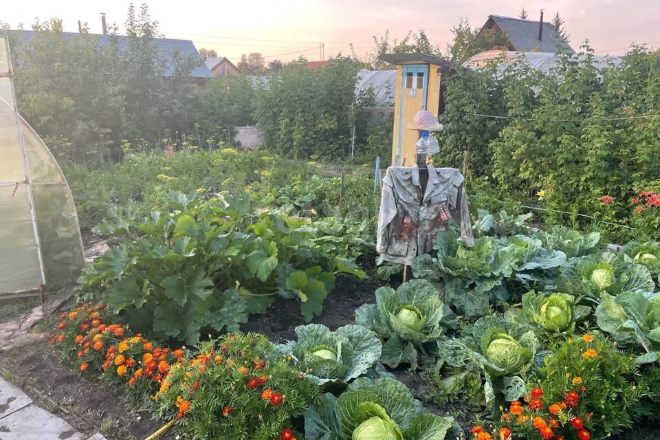 дом р-н Заводоуковский село Яковлево фото 3