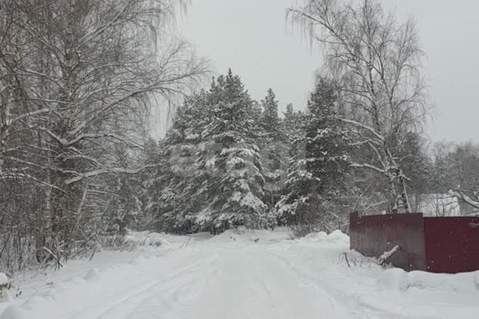 земля городской округ Нижний Новгород, 369, СНТ Надежда фото 2