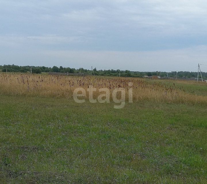 земля г Выкса рп Шиморское ул Конышева городской округ Выкса фото 5