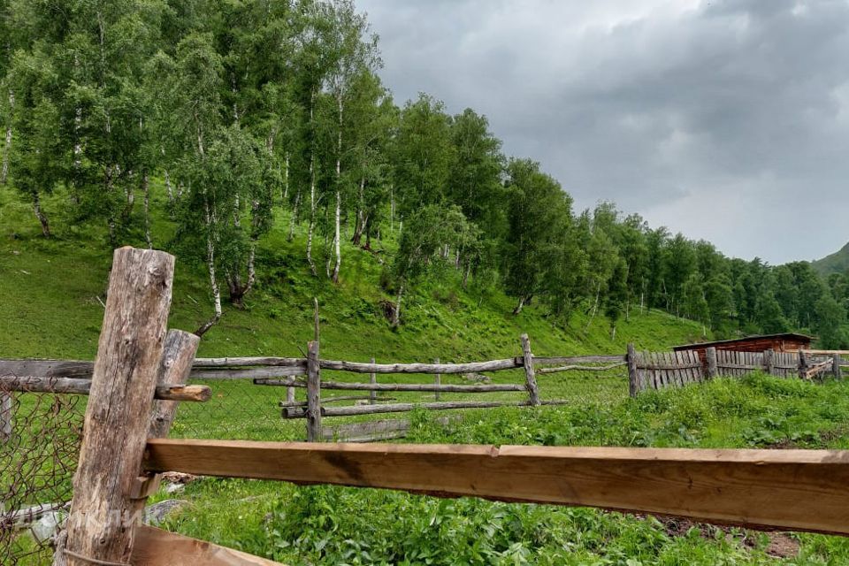 земля р-н Чемальский село Уожан фото 1