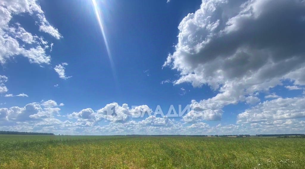 офис р-н Бессоновский с Грабово ул 1ая Сурская фото 2