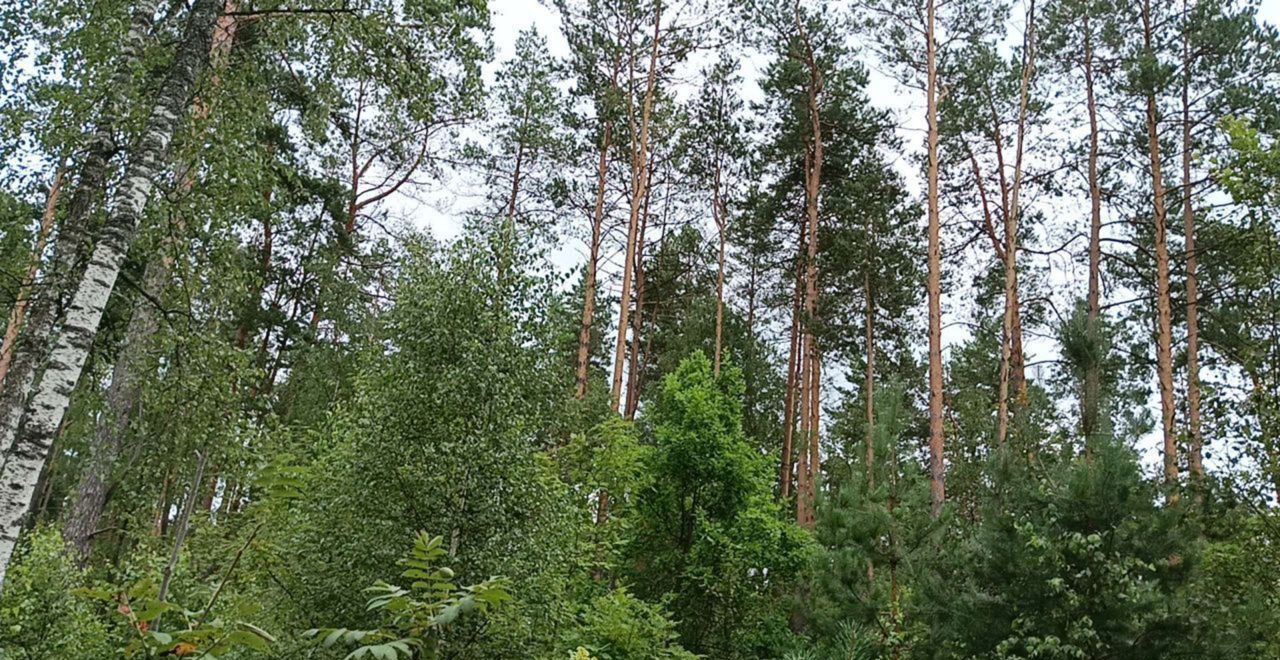 земля г Тула Страховское, Заокский фото 18