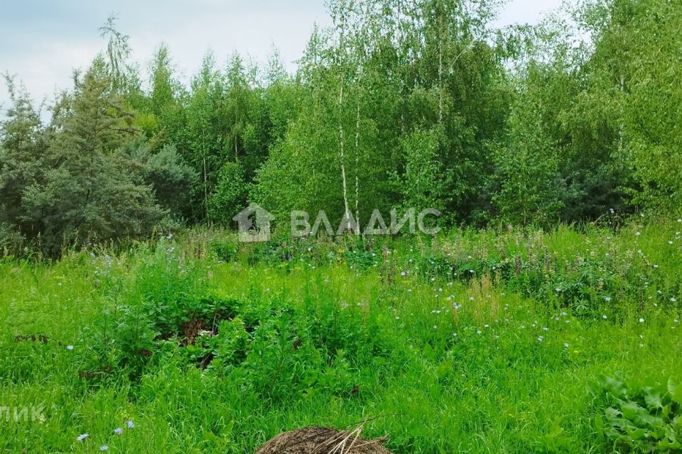 земля г Луховицы садовое товарищество Август-91, городской округ Луховицы фото 2