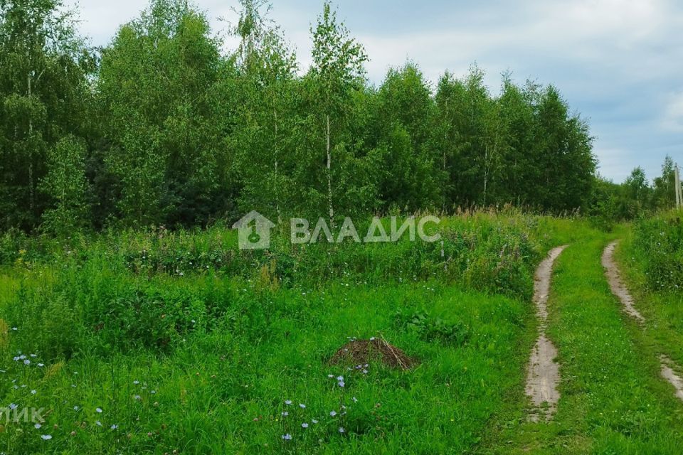 земля г Луховицы садовое товарищество Август-91, городской округ Луховицы фото 6