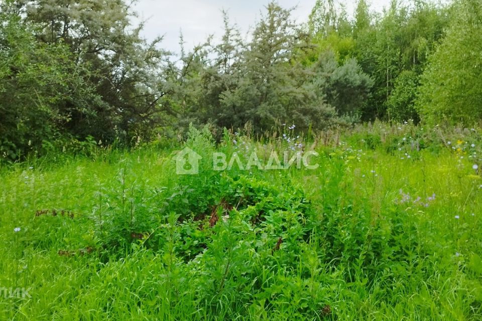 земля г Луховицы садовое товарищество Август-91, городской округ Луховицы фото 5