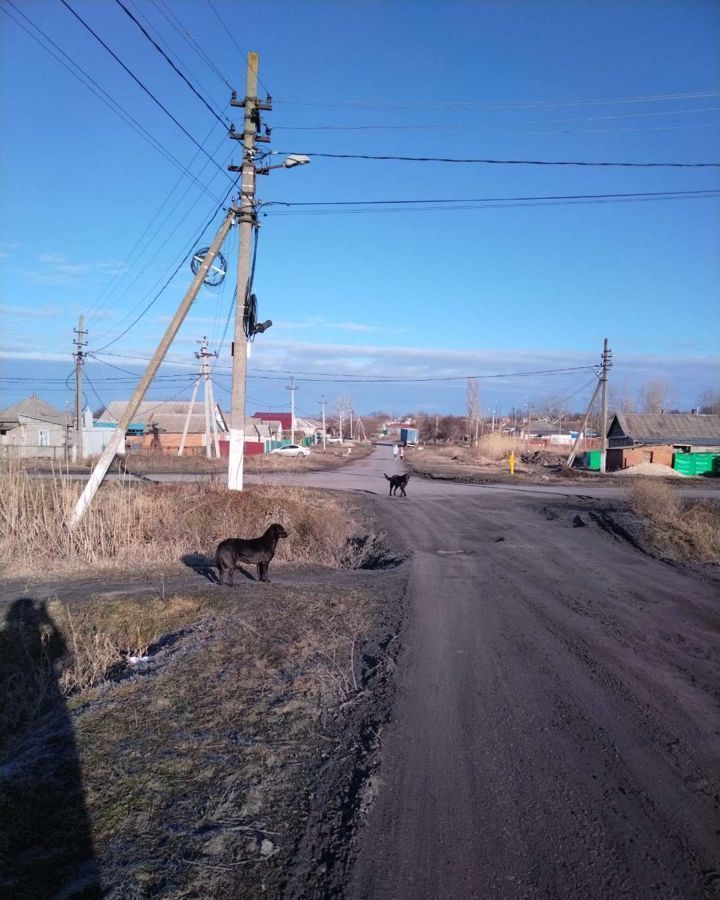 земля р-н Октябрьский х Яново-Грушевский Красюковское сельское поселение, Новочеркасск фото 1