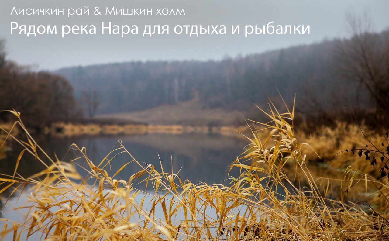 земля городской округ Серпухов д Гавшино 71 км, Серпухов, Симферопольское шоссе фото 3