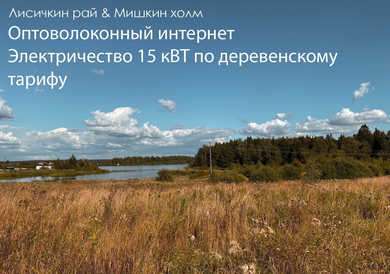 земля городской округ Серпухов д Гавшино 71 км, Серпухов, Симферопольское шоссе фото 8