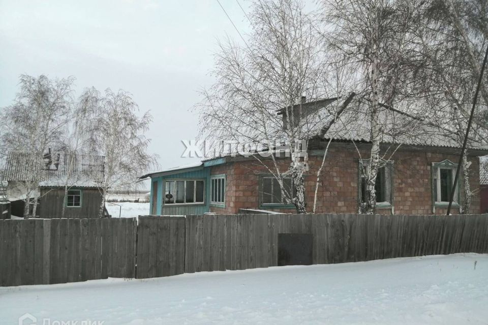 дом р-н Карасукский с Чернокурья Набережная улица фото 2