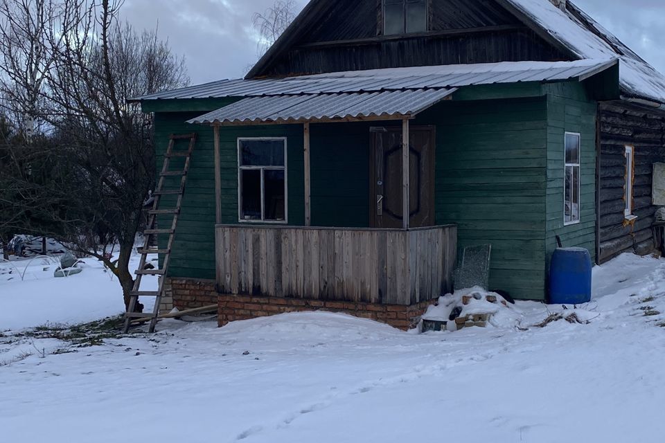 дом р-н Великолукский д Волчки ул Карулинская фото 4