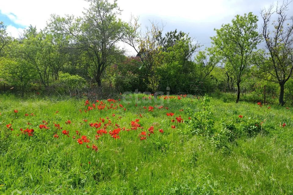 земля г Феодосия тер Восход СПК городской округ Феодосия, Апельсиновая улица фото 1