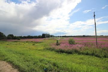 земля р-н Череповецкий село Воскресенское фото 6