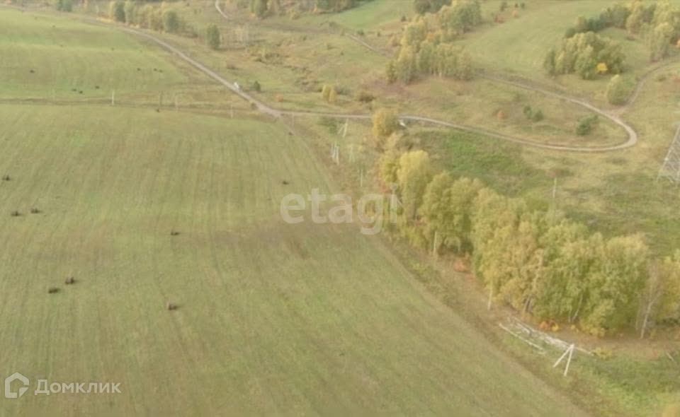 земля р-н Алтайский село Ая фото 6