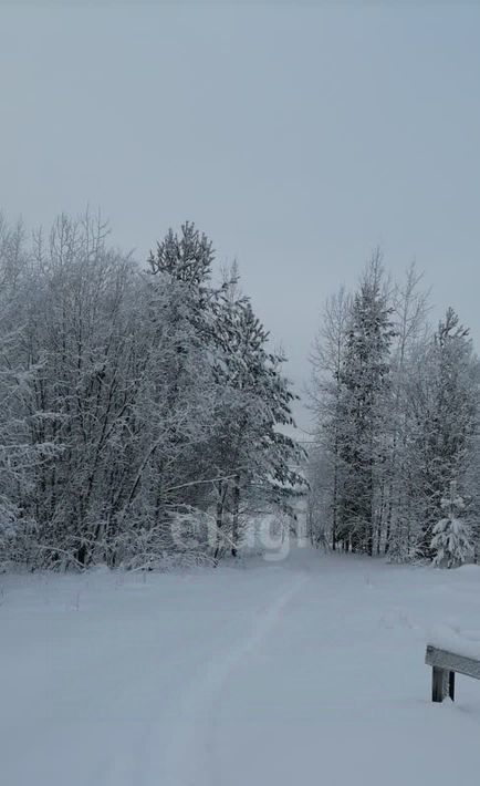 земля р-н Сыктывдинский с Выльгорт муниципальное образование, Омидзь СТ, 97 фото 4