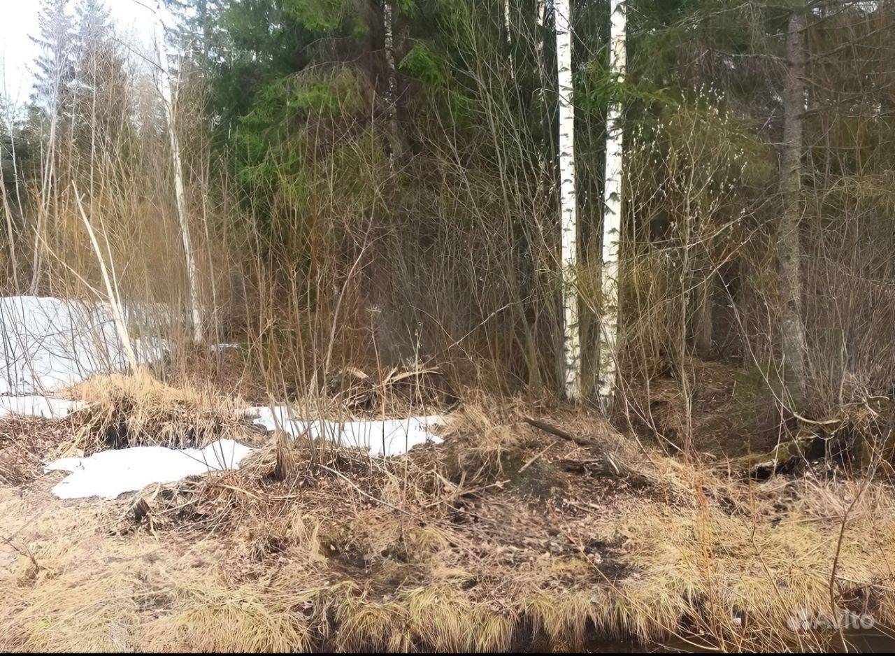 земля р-н Гатчинский п Сиверский Сиверское городское поселение, Зелёная улица, 1 фото 4