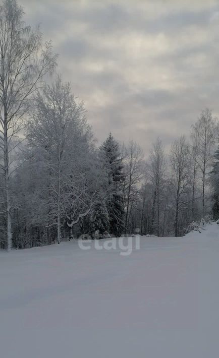 земля р-н Сыктывдинский с Выльгорт фото 8