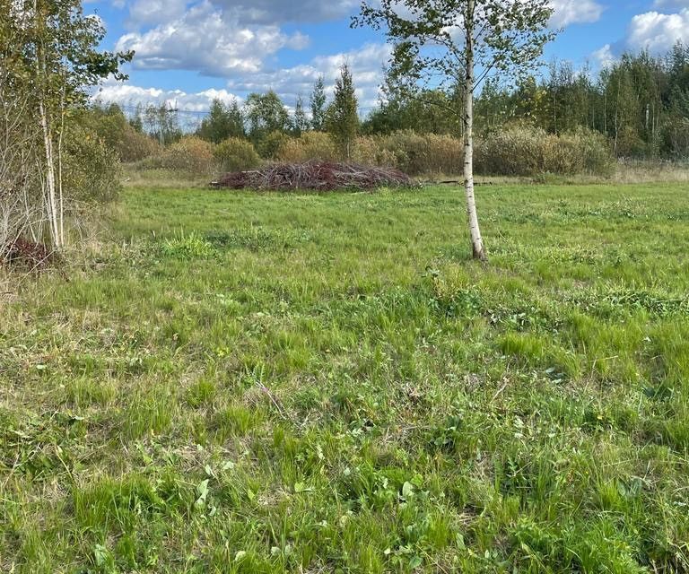 земля р-н Чудовский г Чудово ул Черемуховая городское поселение город Чудово фото 2