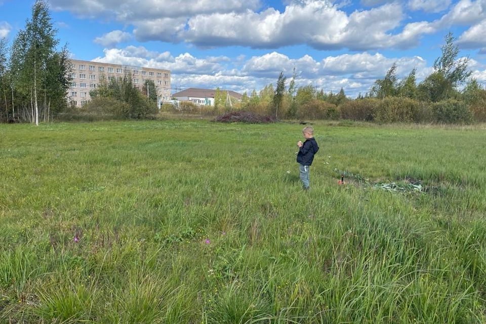 земля р-н Чудовский г Чудово ул Черемуховая городское поселение город Чудово фото 6