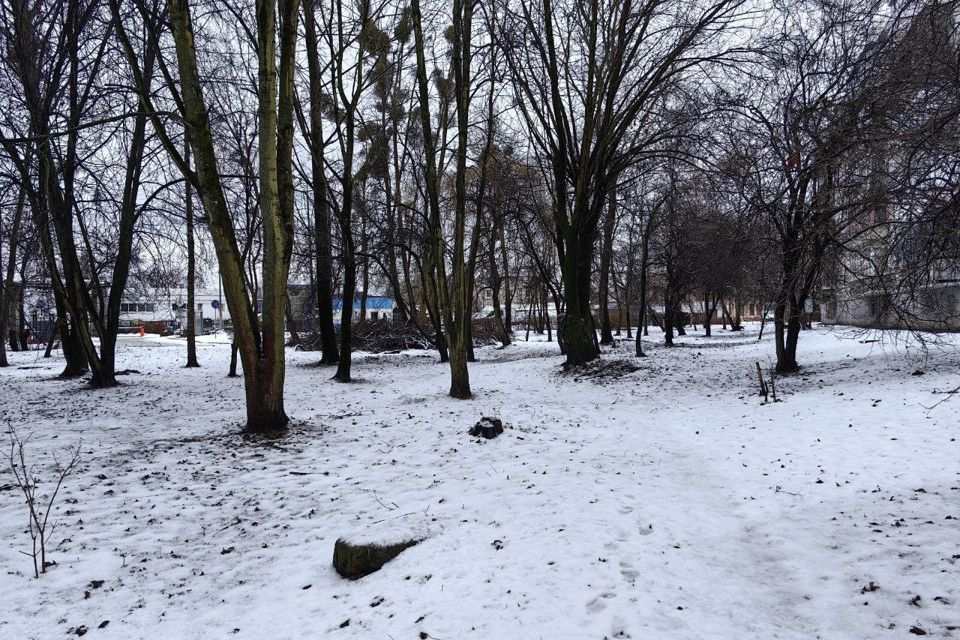 земля г Калининград ул Старшего лейтенанта Сибирякова городской округ Калининград фото 9