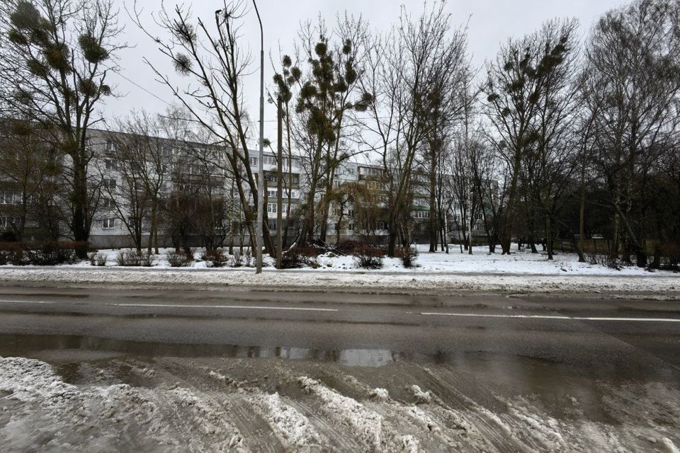 земля г Калининград ул Старшего лейтенанта Сибирякова городской округ Калининград фото 8