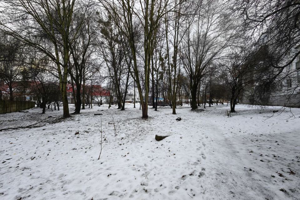 земля г Калининград ул Старшего лейтенанта Сибирякова городской округ Калининград фото 10