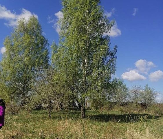 земля сельское поселение Муромцево фото