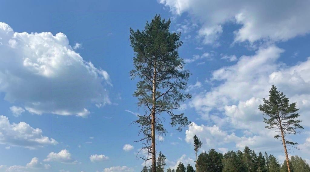 земля р-н Сысертский п Габиевский фото 1