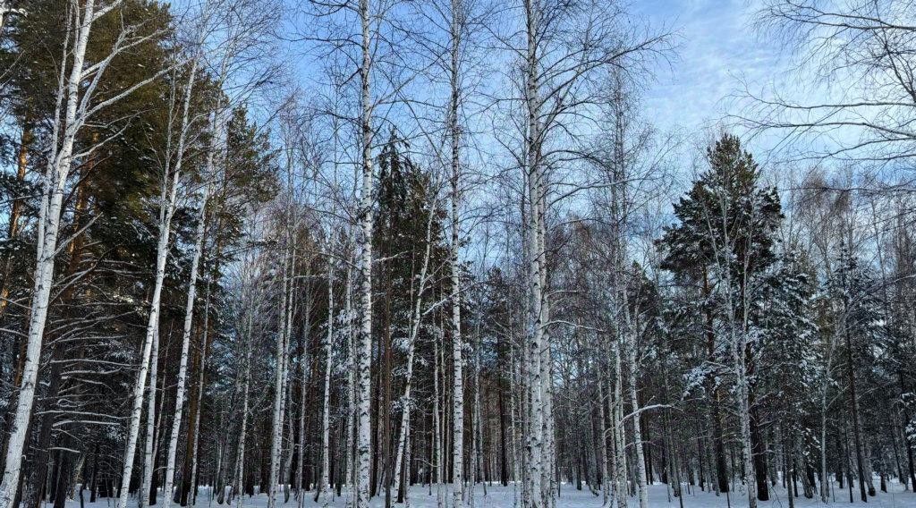 земля р-н Сысертский п Габиевский фото 1