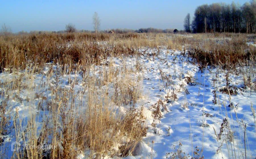 земля г Омск городской округ Омск, территория СОСН Заря-3 фото 3