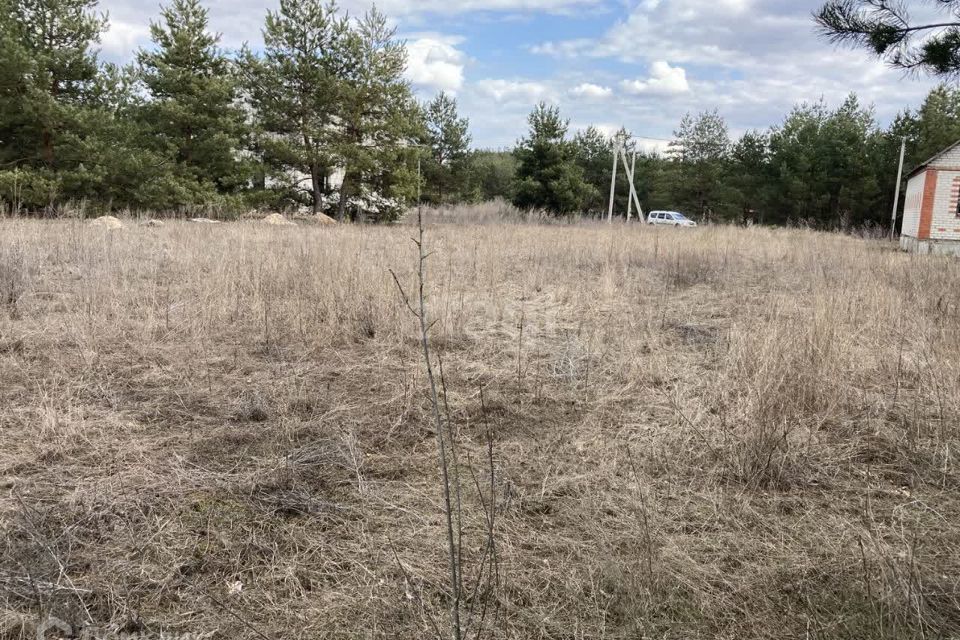 земля городской округ Шебекинский с Новая Таволжанка ул Пушкинская фото 6