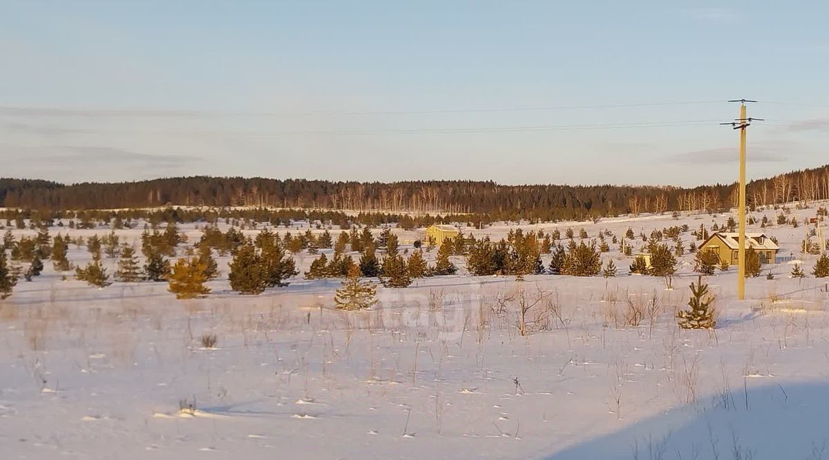 земля р-н Тереньгульский с Подкуровка Подкуровское с/пос фото 5