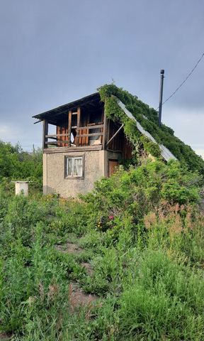 земля садоводческое товарищество, Локомотив фото