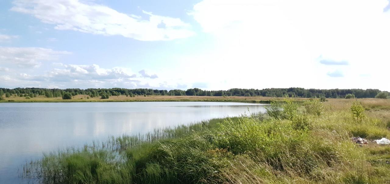 земля городской округ Солнечногорск с Алабушево Алабушево с. Ломоносова ул., 19 фото 43