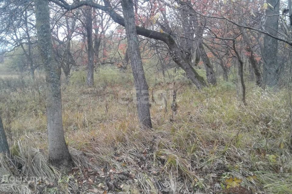 земля р-н Надеждинский п Кипарисово-2 ул Заречная фото 1